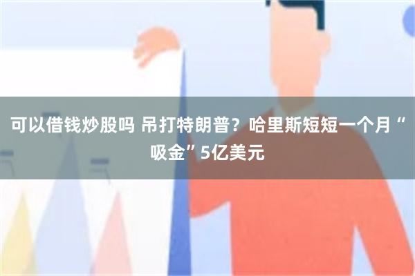 可以借钱炒股吗 吊打特朗普？哈里斯短短一个月“吸金”5亿美元