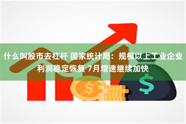 什么叫股市去杠杆 国家统计局：规模以上工业企业利润稳定恢复 7月增速继续加快