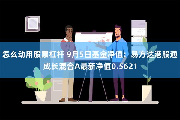 怎么动用股票杠杆 9月5日基金净值：易方达港股通成长混合A最新净值0.5621