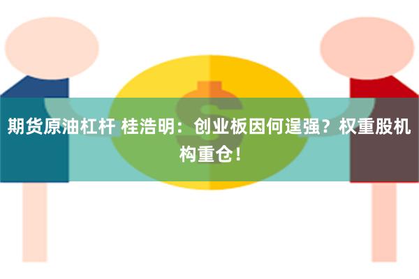 期货原油杠杆 桂浩明：创业板因何逞强？权重股机构重仓！