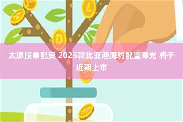 太原股票配资 2025款比亚迪海豹配置曝光 将于近期上市