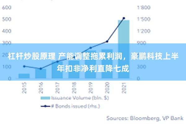 杠杆炒股原理 产能调整拖累利润，豪鹏科技上半年扣非净利直降七成