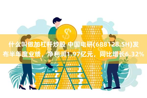 什么叫做加杠杆炒股 中国电研(688128.SH)发布半年度业绩，净利润1.97亿元，同比增长6.32%