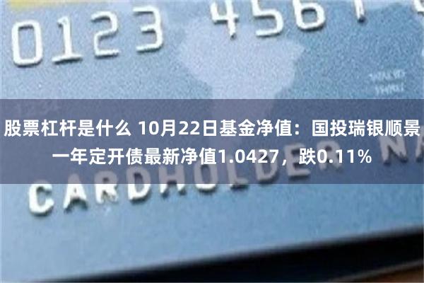 股票杠杆是什么 10月22日基金净值：国投瑞银顺景一年定