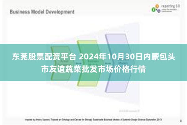 东莞股票配资平台 2024年10月30日内蒙包头市友谊蔬