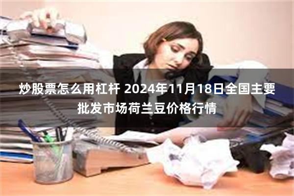 炒股票怎么用杠杆 2024年11月18日全国主要批发市场荷兰