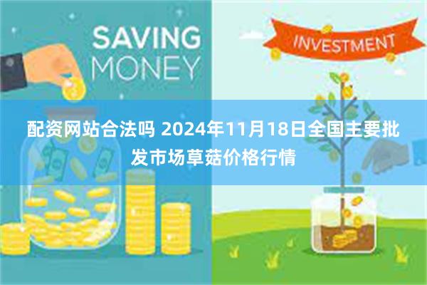 配资网站合法吗 2024年11月18日全国主要批发市场草菇价