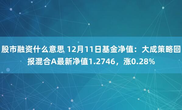 股市融资什么意思 12月11日基金净值：大成策略回报混合A最新净值1.2746，涨0.28%