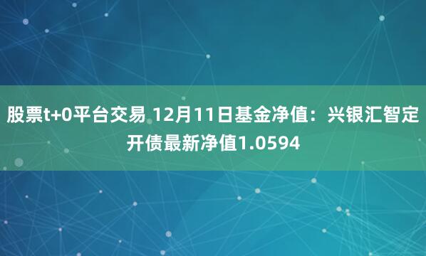 股票t+0平台交易 12月11日基金净值：兴银汇智定开债最新净值1.0594