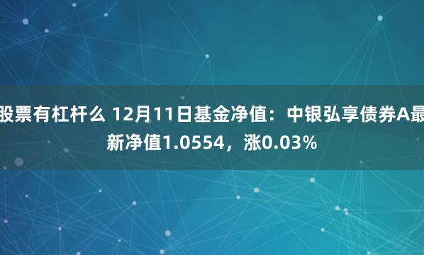 股票有杠杆么 12月11日基金净值：中银弘享债券A最新净值1.0554，涨0.03%