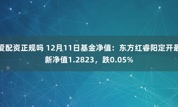 爱配资正规吗 12月11日基金净值：东方红睿阳定开最新净值1.2823，跌0.05%