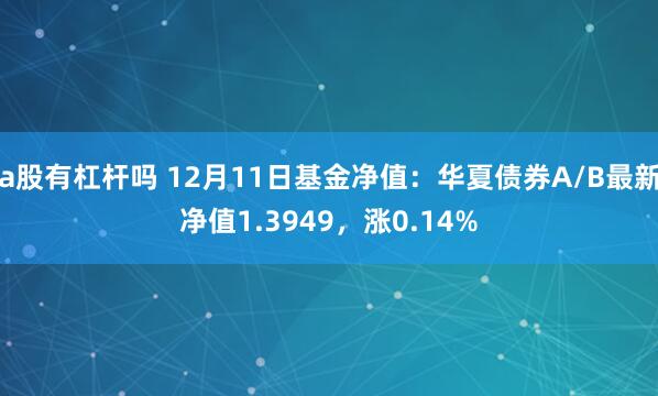 a股有杠杆吗 12月11日基金净值：华夏债券A/B最新净值1.3949，涨0.14%