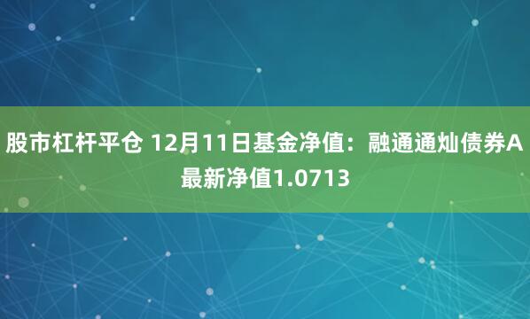 股市杠杆平仓 12月11日基金净值：融通通灿债券A最新净值1.0713