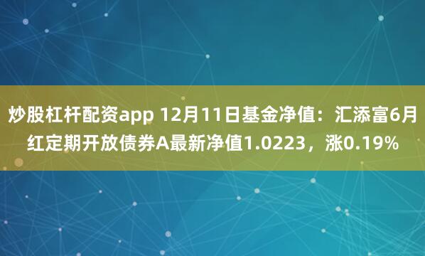 炒股杠杆配资app 12月11日基金净值：汇添富6月红定期开放债券A最新净值1.0223，涨0.19%