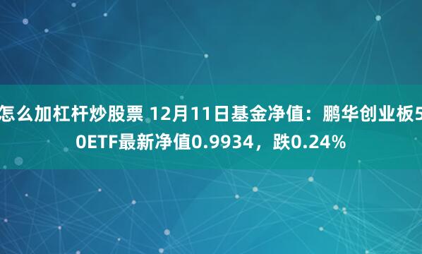 怎么加杠杆炒股票 12月11日基金净值：鹏华创业板50ETF最新净值0.9934，跌0.24%