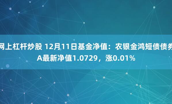 网上杠杆炒股 12月11日基金净值：农银金鸿短债债券A最新净值1.0729，涨0.01%