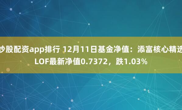 炒股配资app排行 12月11日基金净值：添富核心精选LOF最新净值0.7372，跌1.03%