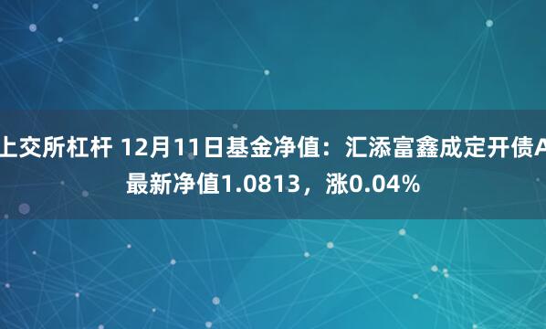 上交所杠杆 12月11日基金净值：汇添富鑫成定开债A最新净值1.0813，涨0.04%