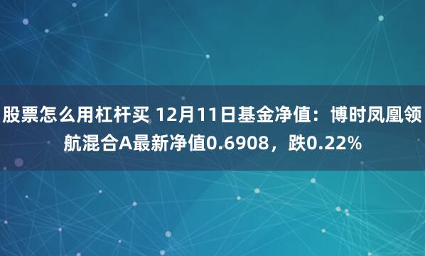 股票怎么用杠杆买 12月11日基金净值：博时凤凰领航混合A最新净值0.6908，跌0.22%