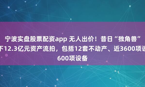 宁波实盘股票配资app 无人出价！昔日“独角兽”名下12.3亿元资产流拍，包括12套不动产、近3600项设备