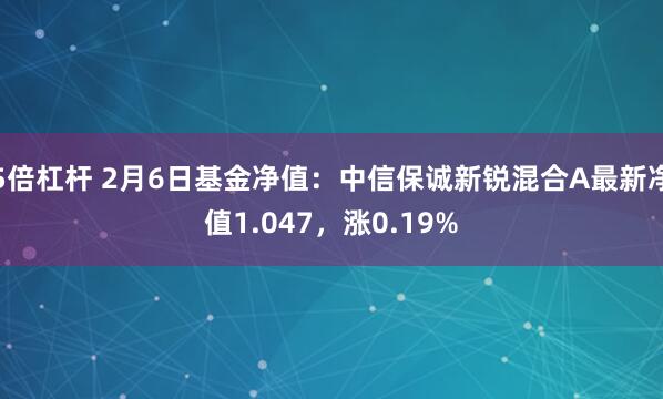 5倍杠杆 2月6日基金净值：中信保诚新锐混合A最新净值1.047，涨0.19%