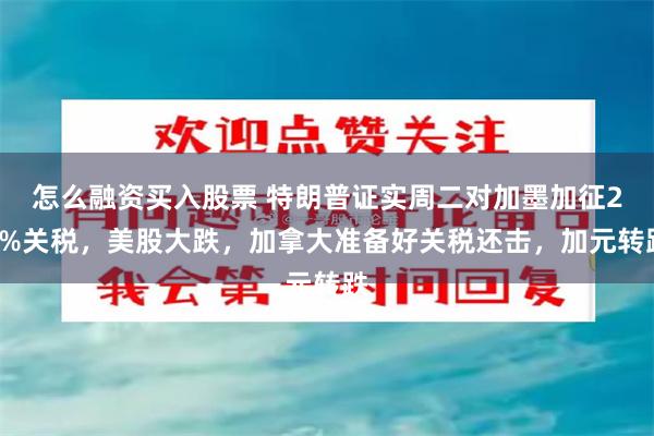 怎么融资买入股票 特朗普证实周二对加墨加征25%关税，美股大跌，加拿大准备好关税还击，加元转跌