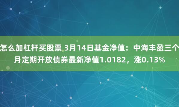 怎么加杠杆买股票 3月14日基金净值：中海丰盈三个月定期开放债券最新净值1.0182，涨0.13%