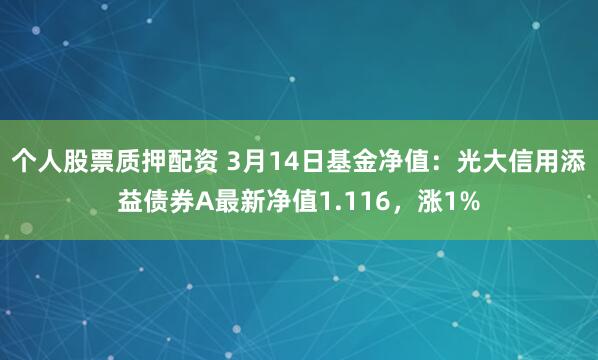 个人股票质押配资 3月14日基金净值：光大信用添益债券A最新净值1.116，涨1%